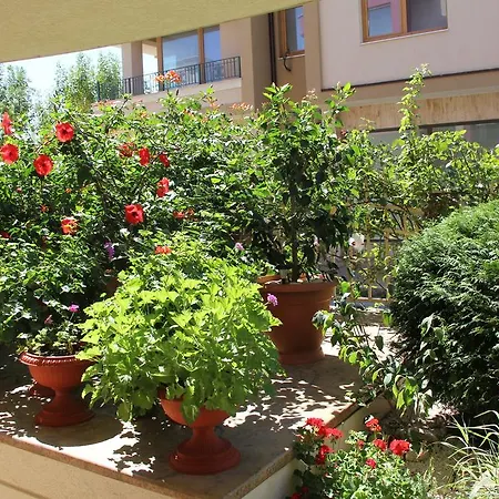Apartment Club Complex *