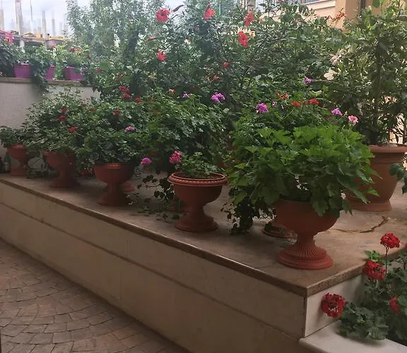 Club Complex * Nesebar