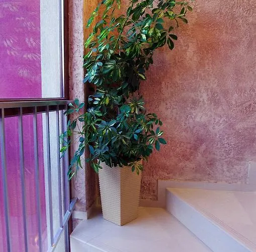 Club Complex * Nesebar